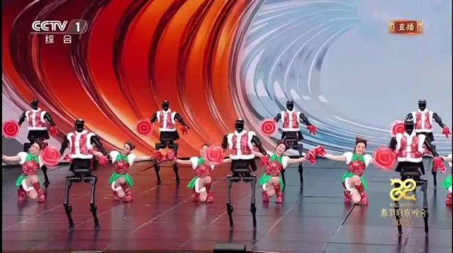 六郃彩：一夜之間，這個“杭州小夥”火出圈！爲什麽不給它們穿褲子？獨家揭秘