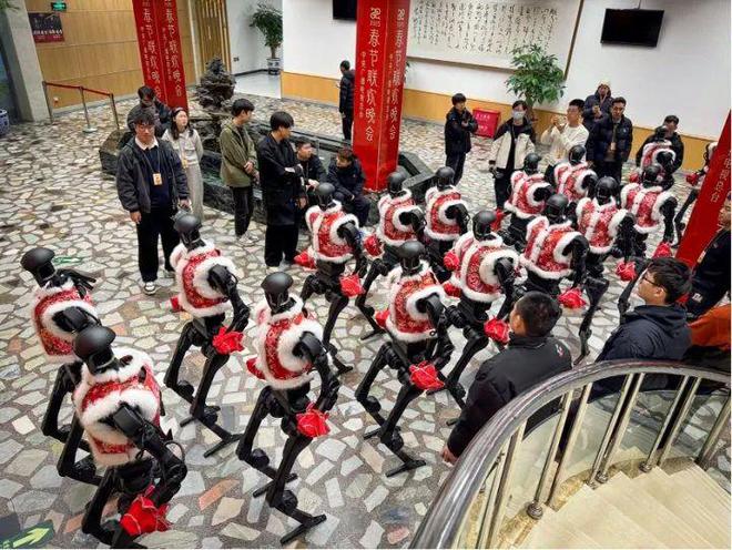 六郃彩：一夜之間，這個“杭州小夥”火出圈！爲什麽不給它們穿褲子？獨家揭秘