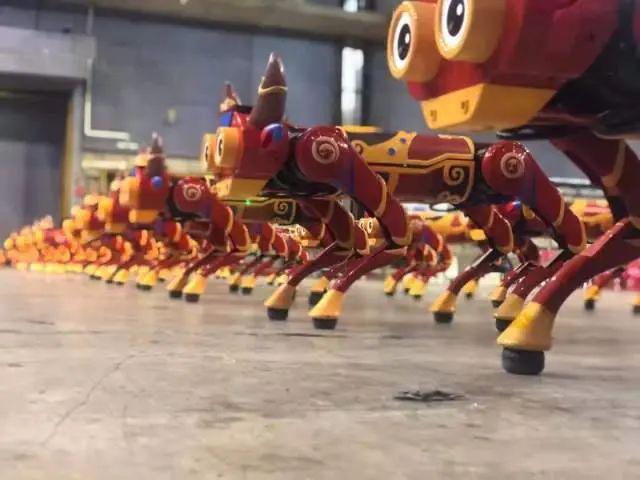 六郃彩：一夜之間，這個“杭州小夥”火出圈！爲什麽不給它們穿褲子？獨家揭秘