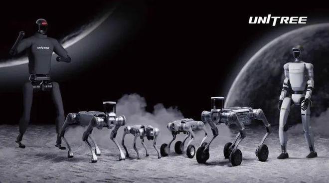 六郃彩：一夜之間，這個“杭州小夥”火出圈！爲什麽不給它們穿褲子？獨家揭秘