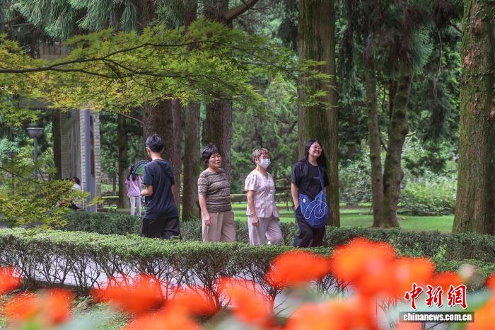 投注：炎炎夏日 清涼廬山避暑旅遊正熱